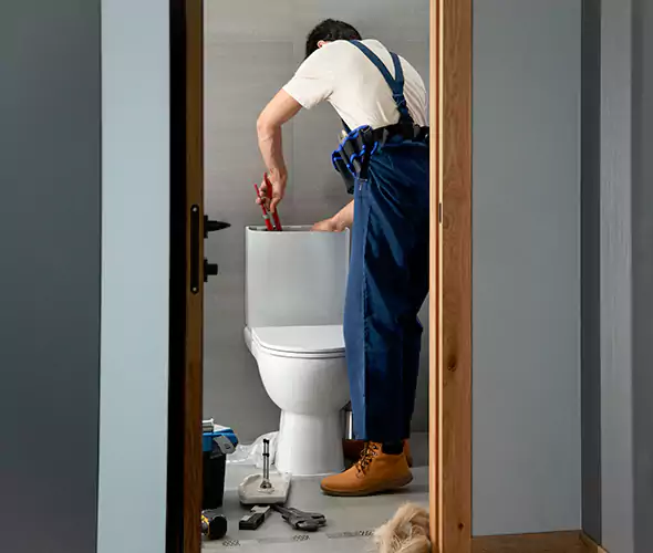 Professional Plumbers for Toilet Bowl Replacement in Rialto, CA: Schedule Affordable Toilet Replacement Services With Us