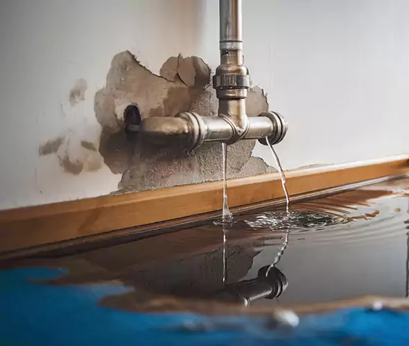 Professional Water Damage Restoration Experts in Rialto, CA — Fast, Reliable & Certified