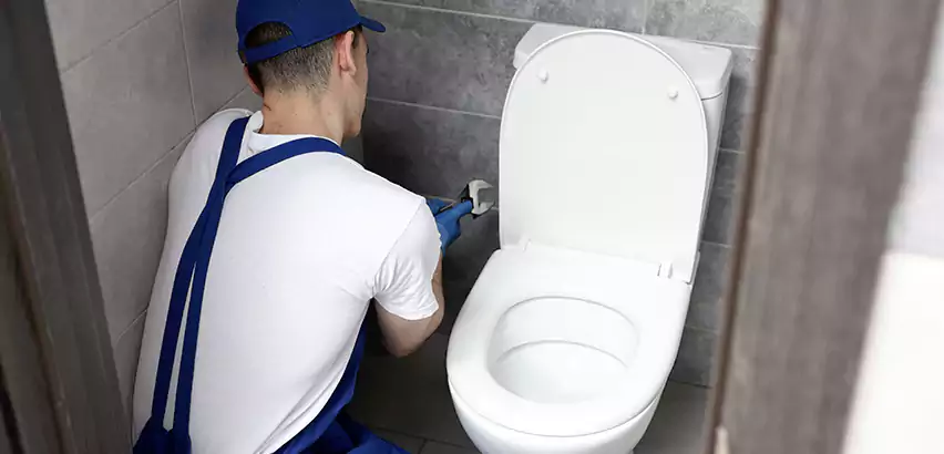 Toilet Lid Replacement in Rialto